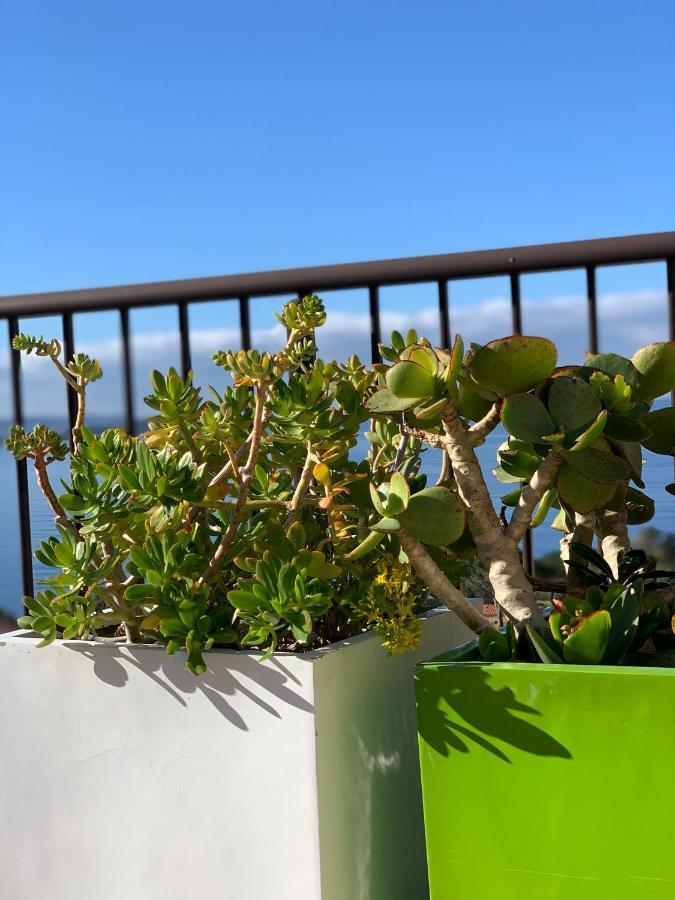 Suite Les Couchants Porticcio  Exterior foto